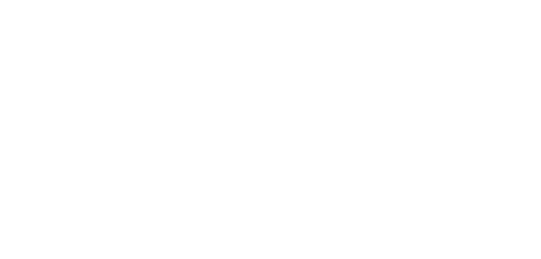 Логотип партнёра